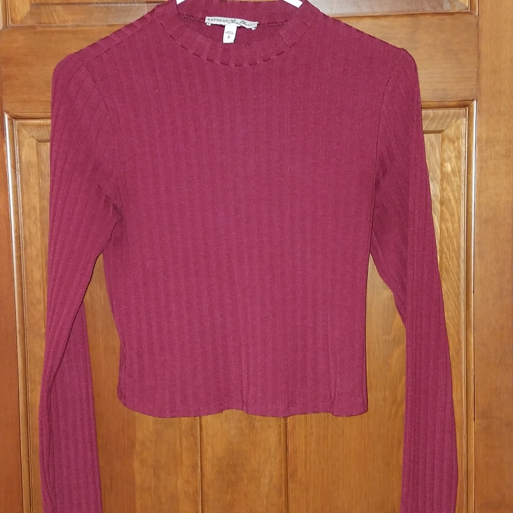 Express Wine Mockneck Crop Top